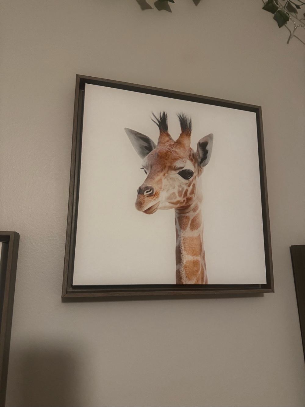 ‘Safari Animals’ by Amy Peterson - Floater Frame Graphic Art Prints (Set of 6) - Picture 10 of 11
